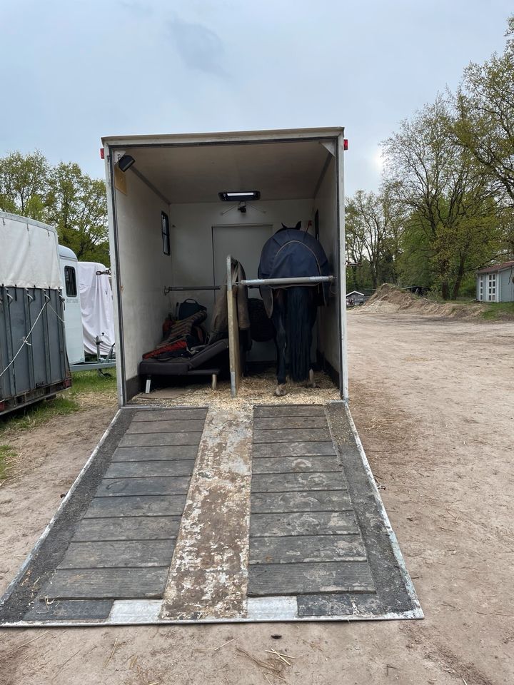 VW T4 2.5 Pferdetransporter mit Wohnkabine in Berlin