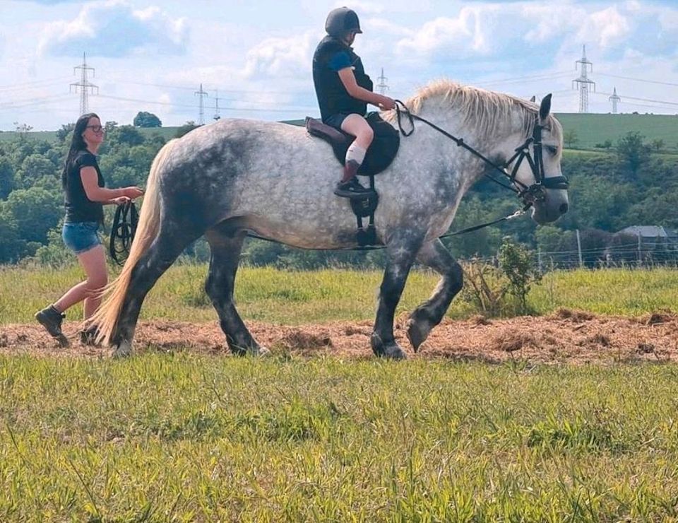 Kinderreiten in Laucha an der Unstrut