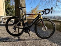 Einzelstück Rennrad/ E - Bike * Swiss Made * Vollvarbon Bayern - Lindau Vorschau