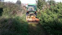 Baufeldräumung Mulcharbeiten Wiesenpflege Schwarzdorn Brombeeren Nordrhein-Westfalen - Nieheim Vorschau