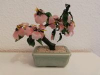 Japan Bonsai Glas Jade Kirschblüte 16 cm Rostock - Dierkow Vorschau