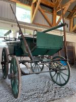 Kutsche-Wagonette Niedersachsen - Osten Oste Vorschau