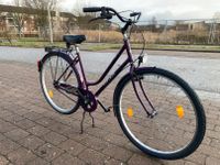 Fahrrad Damenrad 28 Zoll RH 50 cm Bergedorf - Hamburg Allermöhe  Vorschau