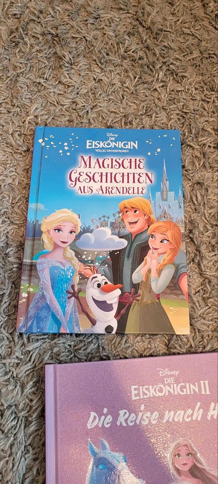 Bücher Eiskönigin/ Frozen / Elsa in Wildeshausen