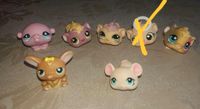 Littlest Pet Shop Nordrhein-Westfalen - Eschweiler Vorschau