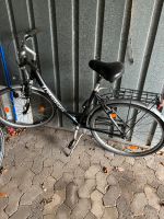 Pegasus Damenfahrrad Niedersachsen - Peine Vorschau