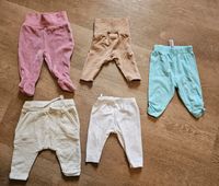 Baby Hosen Gr. 56 Nordrhein-Westfalen - Bocholt Vorschau