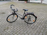 Fahrrad 28 Zoll Bayern - Maroldsweisach Vorschau