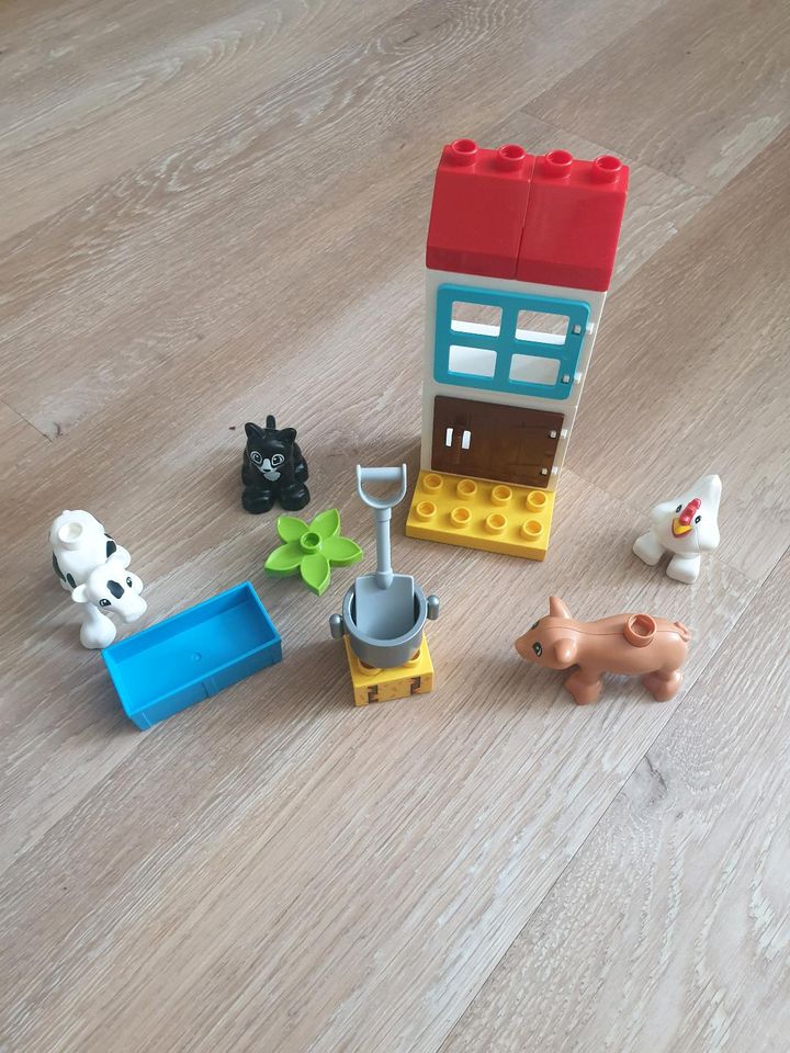 Lego Duplo Einzelteile Konvolut 10847, 10864 usw. in Kreis Pinneberg -  Elmshorn | Lego & Duplo günstig kaufen, gebraucht oder neu | eBay  Kleinanzeigen ist jetzt Kleinanzeigen