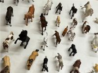 Schleich Pferde Flohmarkt Niedersachsen - Braunschweig Vorschau