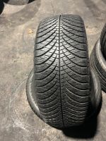 2x 205 55 R16 91H Allwetterreifen-Goodyear Nordrhein-Westfalen - Detmold Vorschau