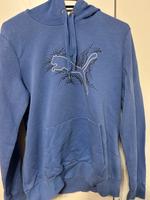 Puma Pullover - Größe L (40) Mecklenburg-Strelitz - Landkreis - Cölpin Vorschau