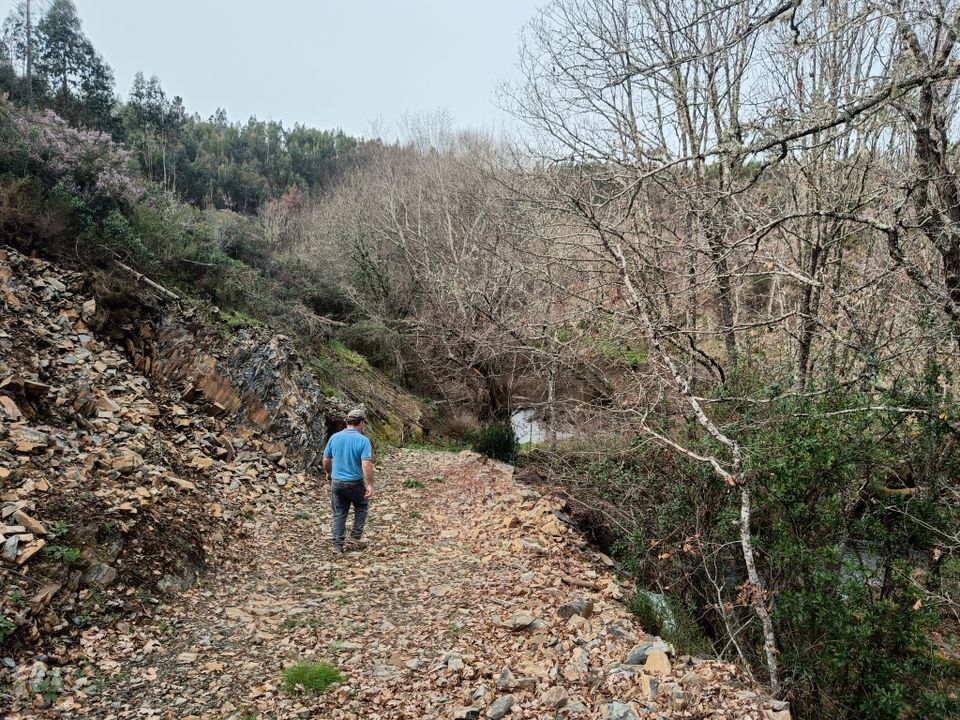 2,7 ha mit einem natürlichen Teich und Bach im Zentralportugal in München