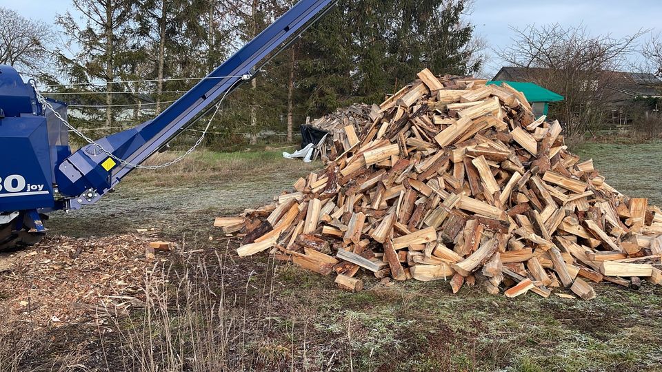 Brennholz/ Kaminholz in Kalbe (Milde)