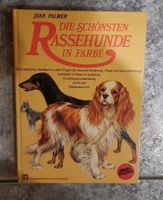 Rassehunde Sachsen - Radeberg Vorschau