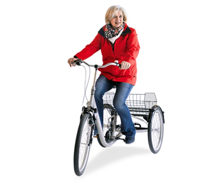 Draisin Senora mit Ansmann Motor Akku 9 Ah.- in Nordrhein-Westfalen -  Datteln | Gebrauchte Damenfahrräder kaufen | eBay Kleinanzeigen ist jetzt  Kleinanzeigen