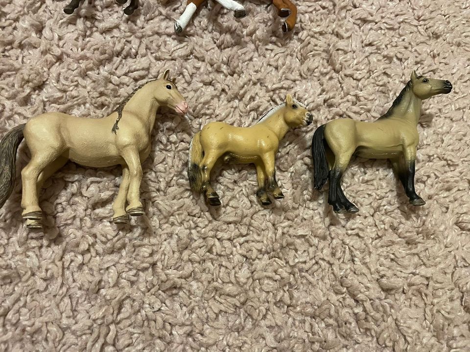 Schleich Pferde Pony Set in Kerpen