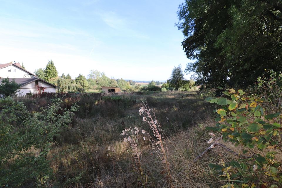 Großes Grundstück in ländlicher Ortsrandlage in Konradsreuth