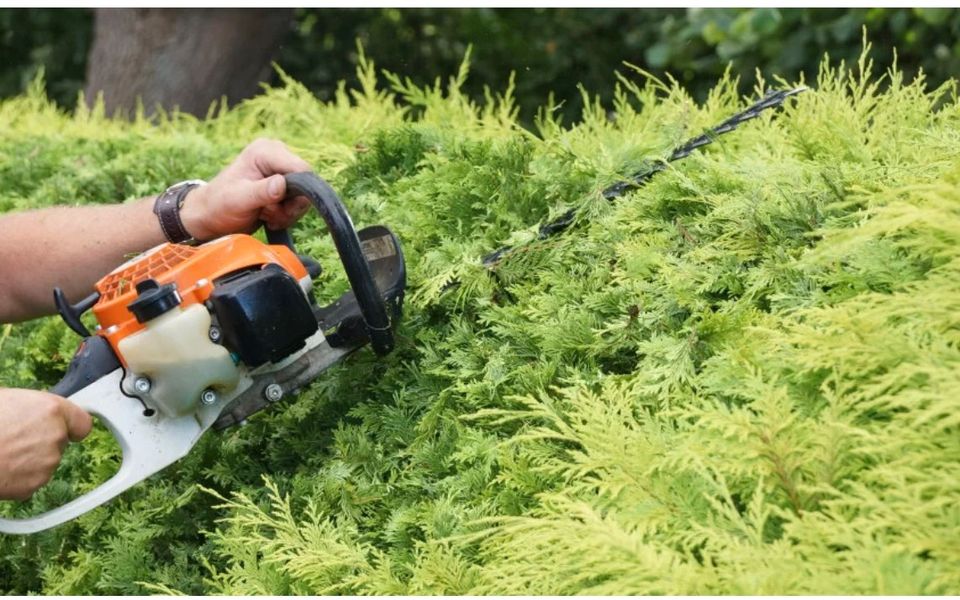 MT Garten-Landschaftspflege,Hausmeisterservice in Binsfeld