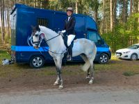 Freizeit und Tunier Pferd  von Jugendlichen  geritten Hessen - Villmar Vorschau