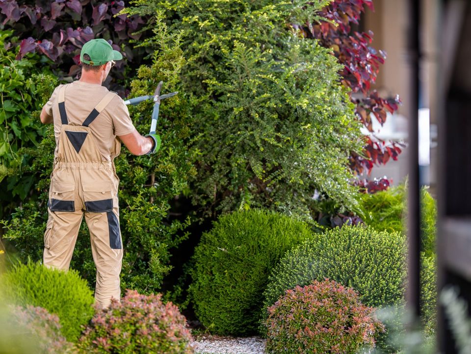 Garten- und Landschaftspflege - Günstig & Schnell in Dinslaken