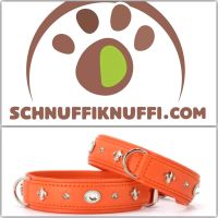 Diamond Sommer Edition MAUL Hundehalsband orange/silber Hessen - Calden Vorschau