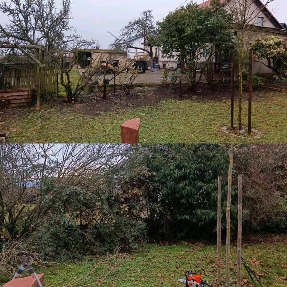 Gartenarbeiten Termine Frei Wir kommen wegen Kleinigkeit in Dillingen (Saar)