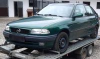 Suche Opel Astra F  Vectra A Bayern - Wurmsham Vorschau