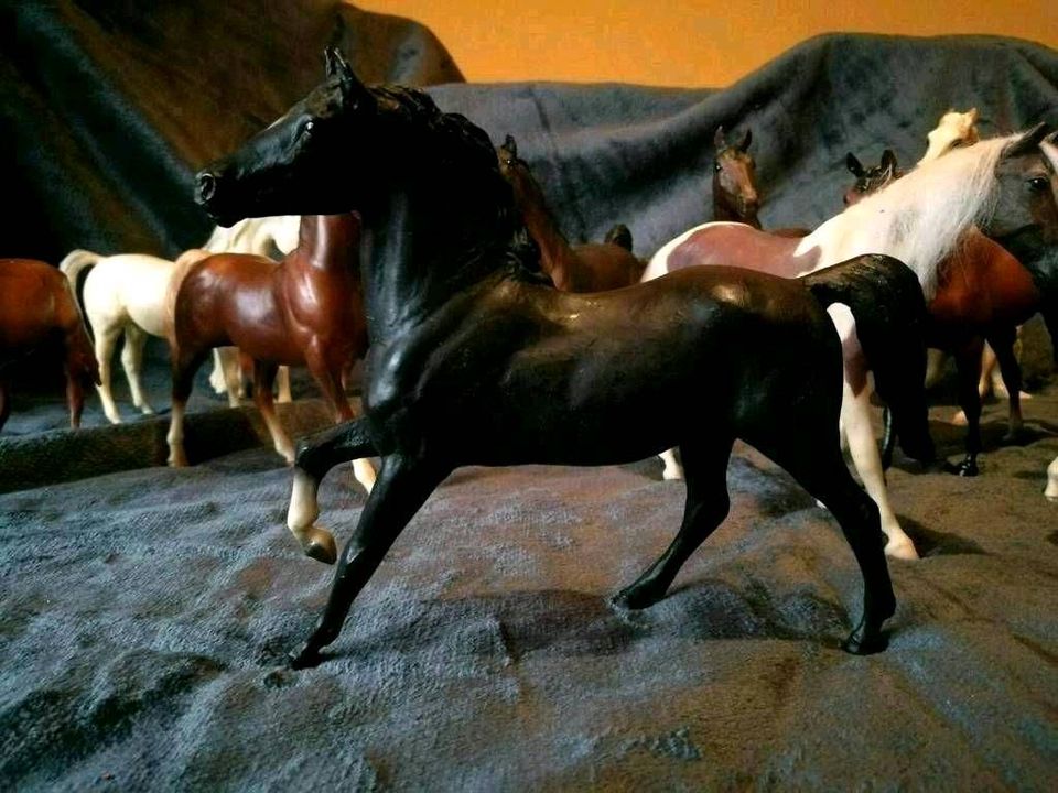 Breyer Classic und Zubehör Kutsche sattel Zaumzeug Hindernisse in Ramsthal