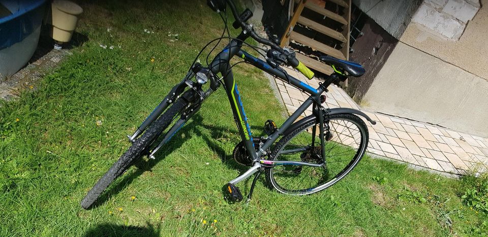 WINORA sportive 28" Herren Bike in Thiendorf