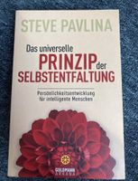 Steve Pavlina, Das universelle Prinzip der Selbstentfaltung, Buch Thüringen - Meiningen Vorschau