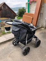 Kinderwagen Baden-Württemberg - Bodman-Ludwigshafen Vorschau