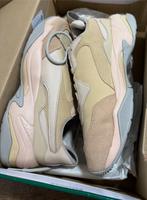 Puma Thunder Bayern - Landshut Vorschau