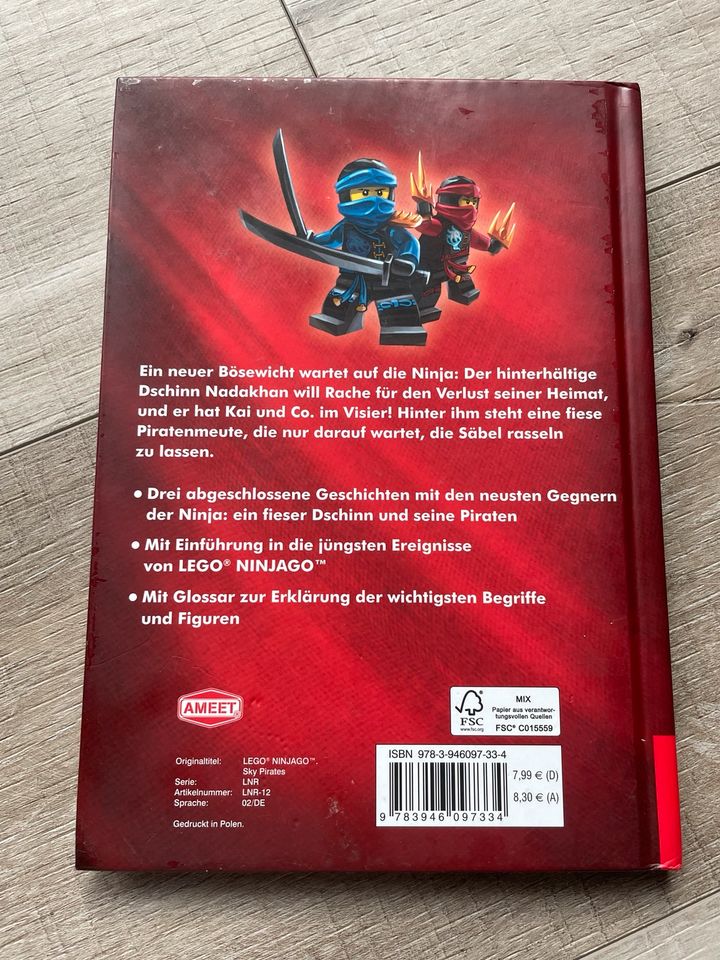 Buch Ninjago nadakhan und die Luftpiraten in Kleinheubach