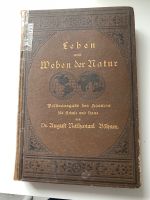 Leben und Weben der Natur Volksausgabe von 1873 Böhner Niedersachsen - Drochtersen Vorschau