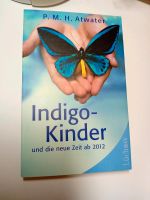 Indigo Kinder und die neue Zeit ab 2012 P.M.H. Atwater Taschenbuc Rheinland-Pfalz - Mainz Vorschau