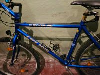 Checker Pig CPX 3010 Fahrrad blau Baden-Württemberg - Leinzell Vorschau