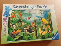 Ravensburger puzzle Tropischer Regenwald,Sammler,selten Niedersachsen - Hoyerhagen Vorschau
