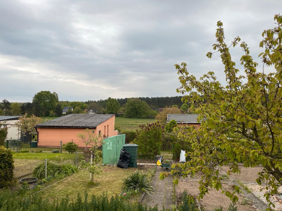 Garten mit massiven Bungalow auf Pachtland zu verkaufen in Waren (Müritz)