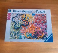 Puzzle, 1000 Teile, Ravensburger, sehr guter Zustand Nordrhein-Westfalen - Hamm Vorschau