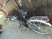 damenfahrrad hercules cityrad x ts Nordrhein-Westfalen - Rheine Vorschau