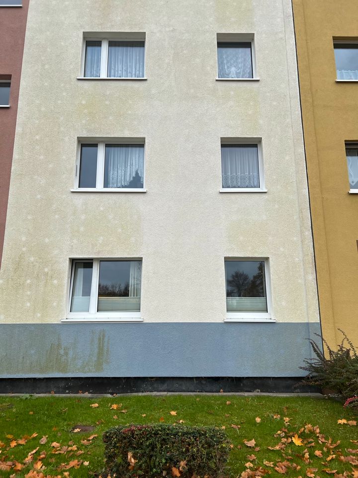 Fassadenreinigung Fassade reinigen statt streichen in Lüdershagen