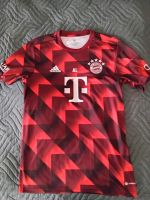 FC Bayern München Trainingsshirt Größe M Hessen - Alsfeld Vorschau