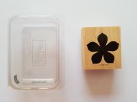 Stampin Up Stempel Flower Accent Niedersachsen - Buchholz in der Nordheide Vorschau