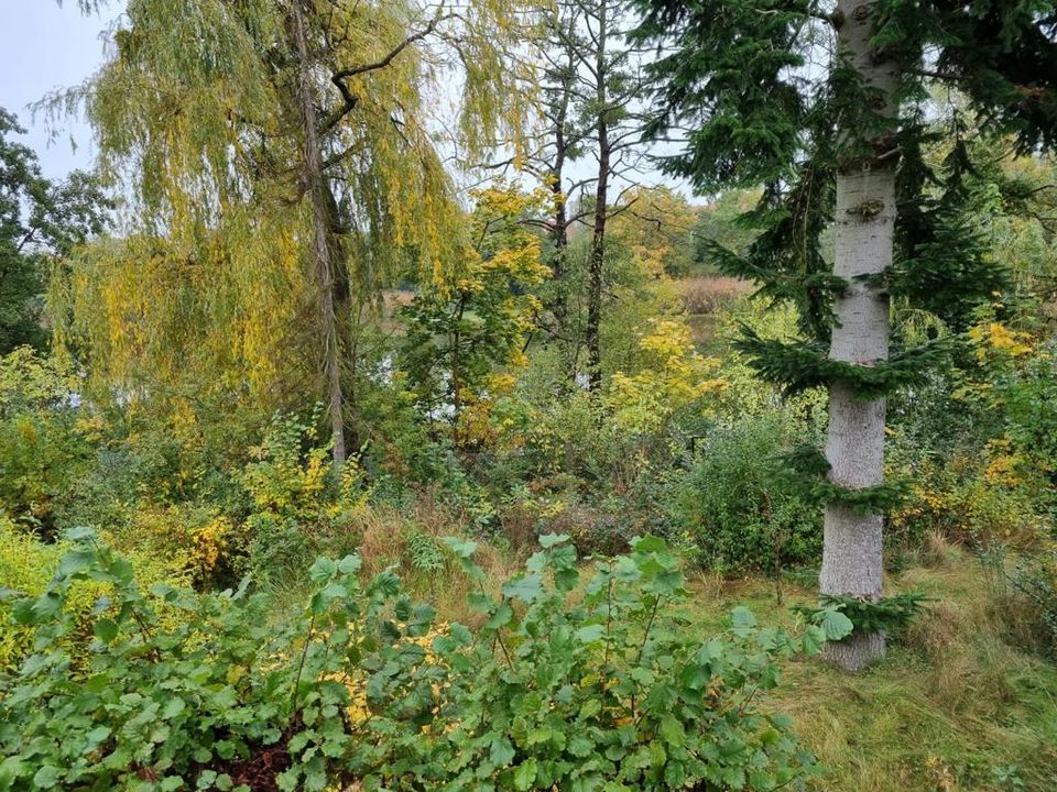 Ihr eigenes Haus am See: Attraktives Baugrundstück vor den Toren Berlins in Hoppegarten