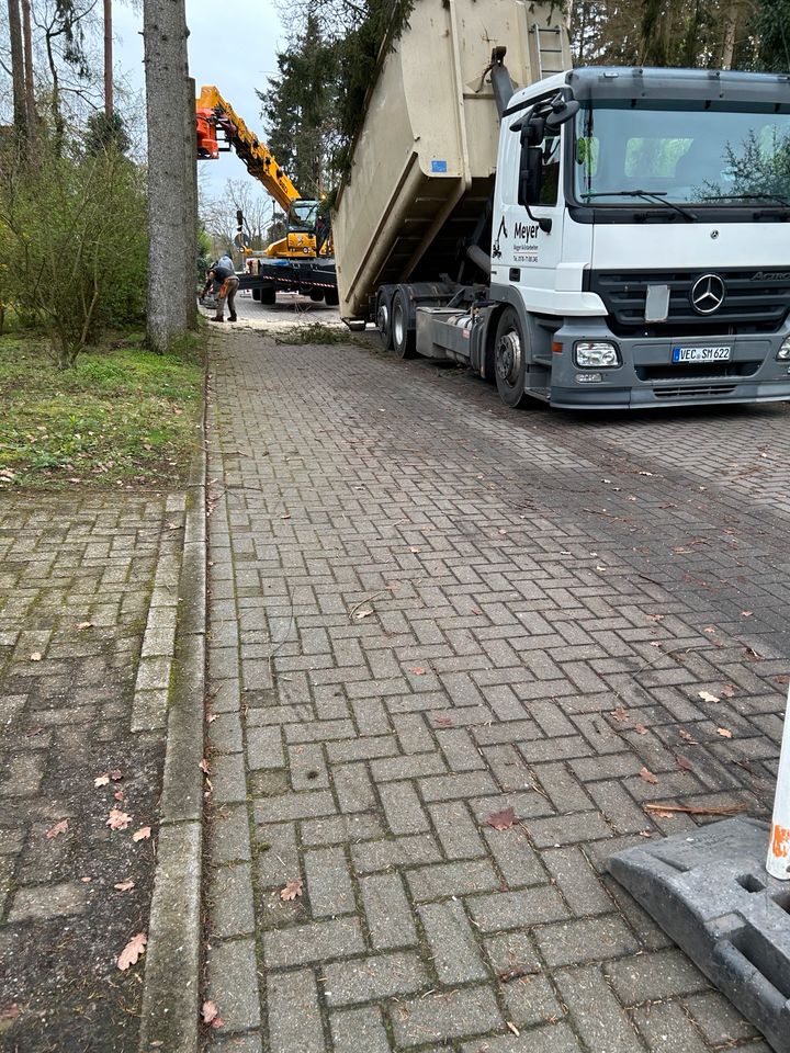 Transport von Schüttgütern, liefern, Entsorgen, Abrollkipper in Damme