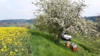 Starke Bienenvölker Bienen auf Dadant mit oder ohne Beute abzug. Thüringen - Stadtroda Vorschau