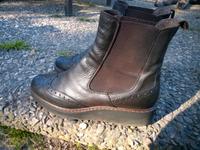 Ledestiefelette von Donna Piu 38 Niedersachsen - Bad Essen Vorschau