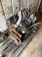 Motor, Dieselmotor Ford Transit Rheinland-Pfalz - Bitburg Vorschau