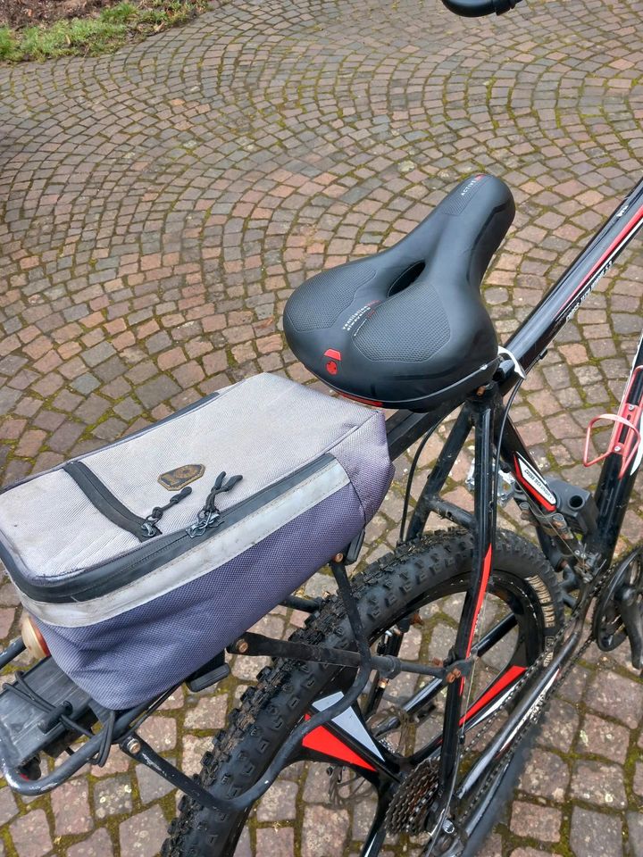 Komfort Fahrrad in Baunatal